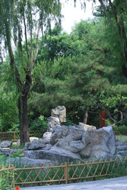 公园风景  