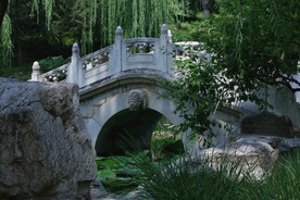公园风景  