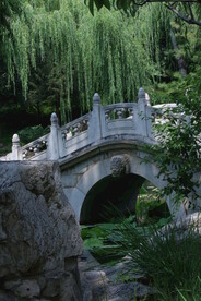 公园风景  