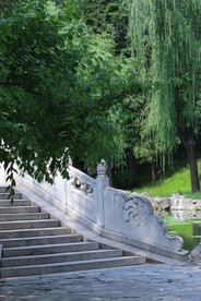 公园风景  