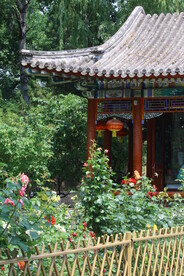 公园风景  
