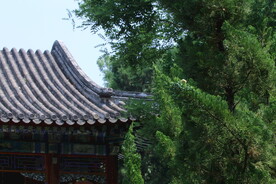 公园风景  