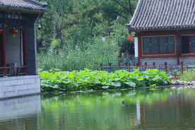 公园风景  