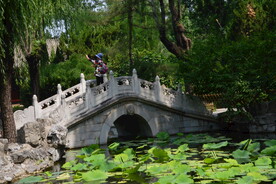 公园风景  