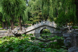 公园风景  