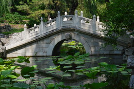 公园风景  