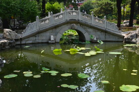 公园风景 