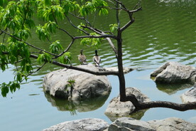 公园风景