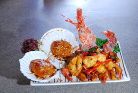 澳洲龙虾 元贝皇