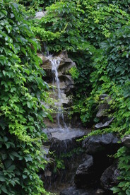 公园风景  