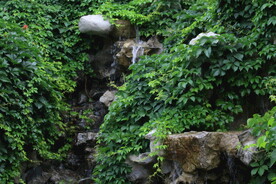 公园风景 