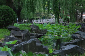 公园风景  