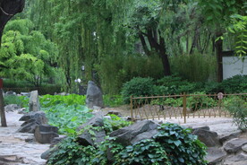公园风景  