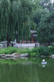 公园风景  