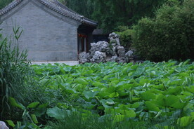 公园风景 