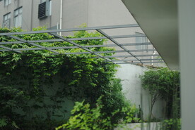 庭院白墙