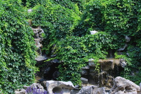 公园风景  