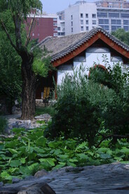 公园风景 