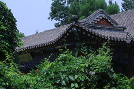 公园风景  