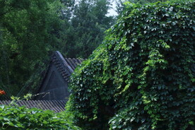 公园风景  