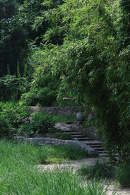 公园风景  