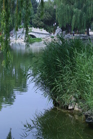 公园风景 