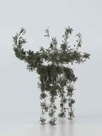 C4D模型 麋鹿骨架植物生长 