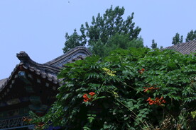 公园风景  