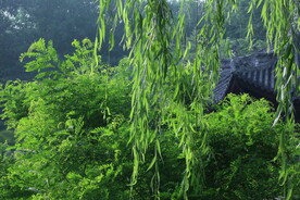 公园风景 