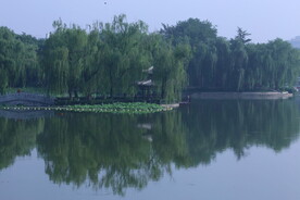 公园风景 