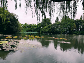 杭州西湖