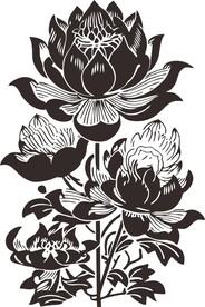 玫瑰花