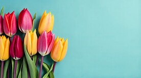 创意郁金香花朵水彩海报背景