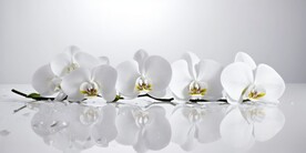 创意花朵水彩海报背景