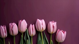 创意郁金香花朵水彩海报背景