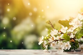 清晨阳光花朵水彩海报背景