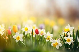 创意多彩花朵水彩海报背景