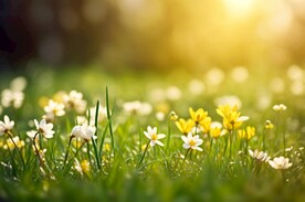 创意多彩花朵水彩海报背景