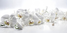 创意多彩花朵水彩海报背景