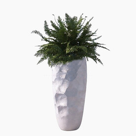 C4D模型 绿色植物