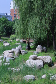 公园风景 