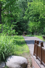 公园风景 