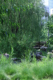 公园风景