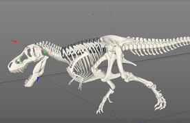 C4D模型 恐龙