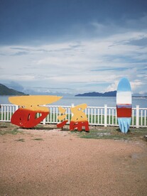 西涌