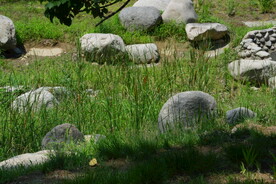 公园风景  