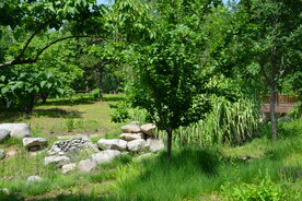 公园风景 