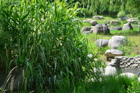 公园风景 