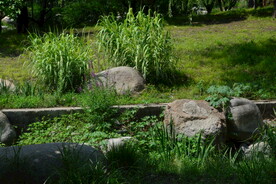 公园风景  