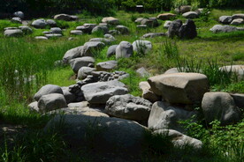 公园风景  